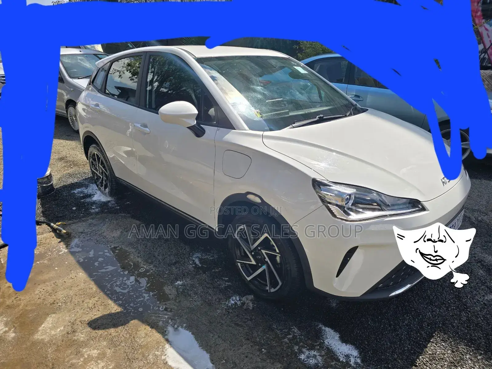 Hozon Neta Aya 2024 Pearl