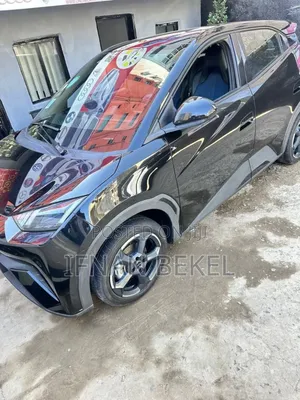 New BYD Seagull 2024 Black