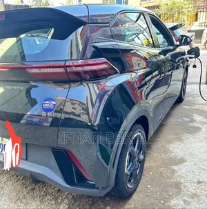 New BYD Seagull 2024 Black