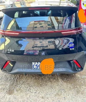 New BYD Seagull 2024 Black