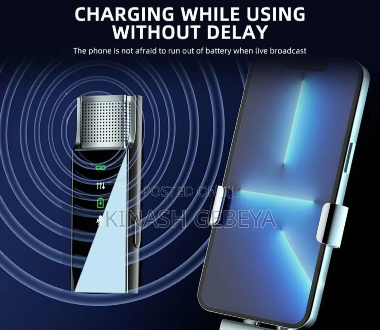 Green Lion High Quality 2 in 1 Digital Microphone