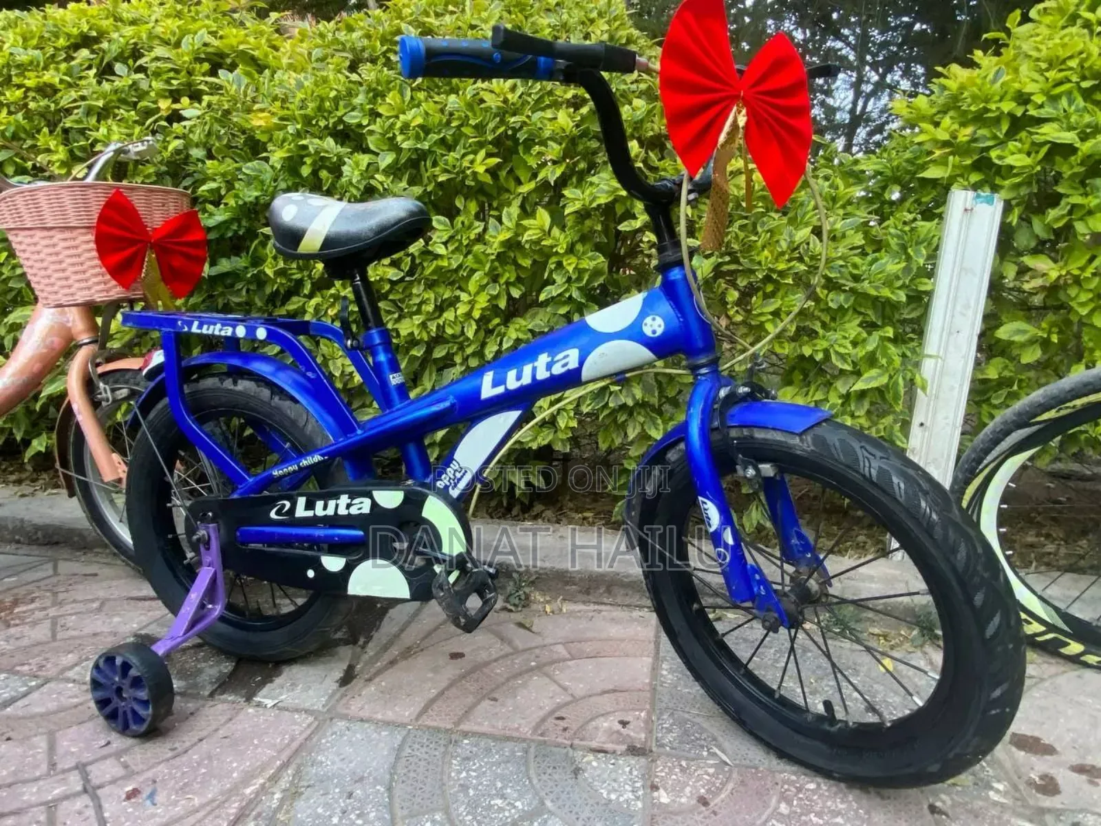 Luta Biycle To Your Son