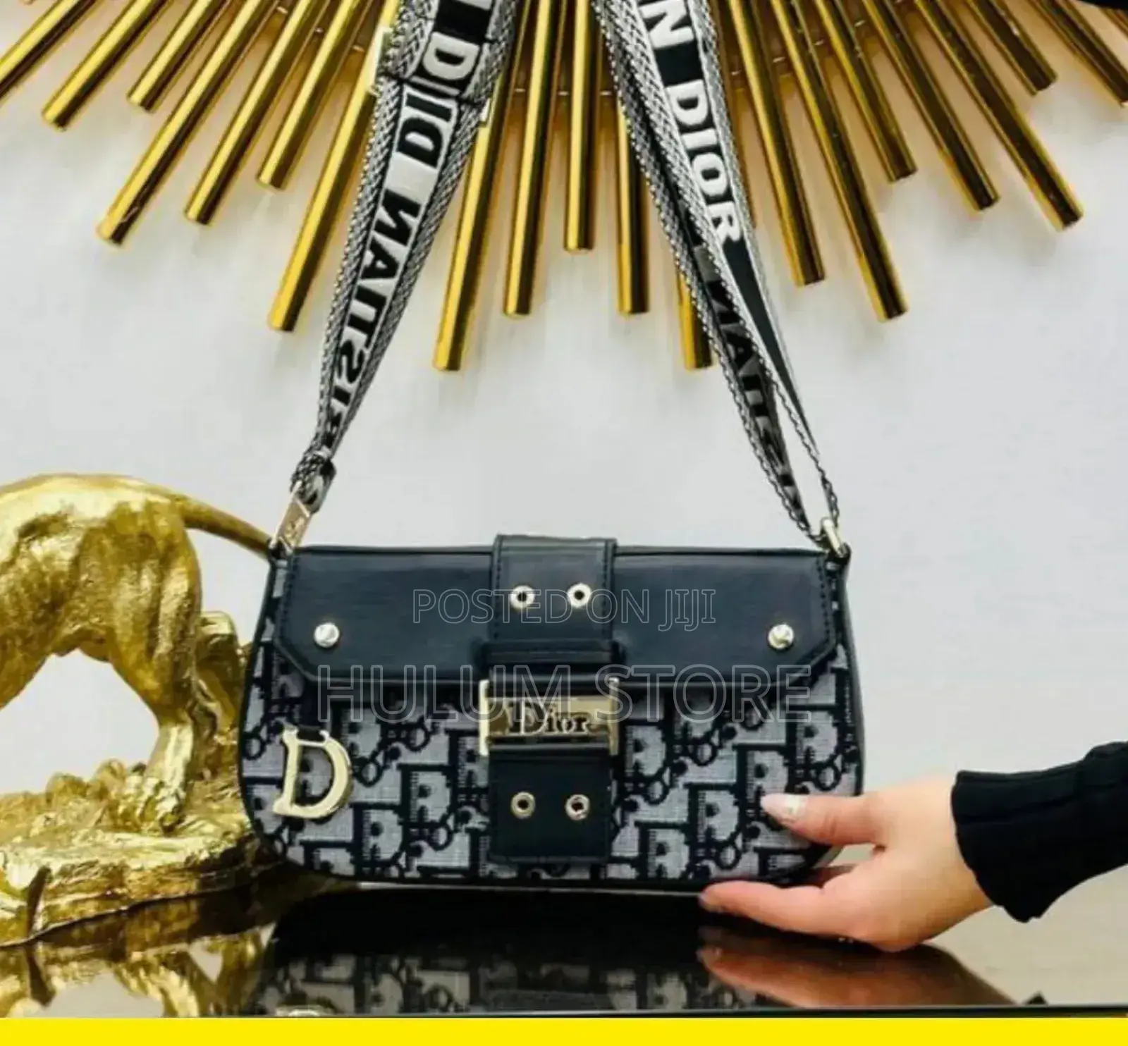 Christian Dior Women Designer Bag