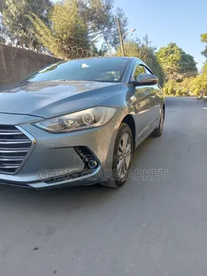 Hyundai Elantra 2016 Gray