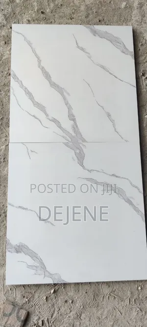 Indian Porcelain 60*120