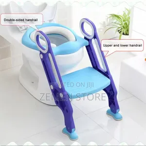 Kids Potty Training Seat With Ladder