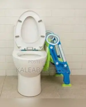 2 in 1 Potty Training