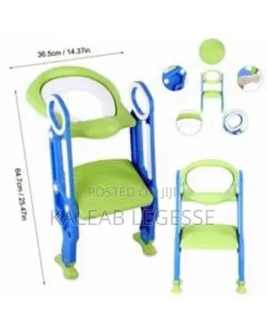 2 in 1 Potty Training