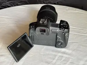 Canon R 24-105mm STM