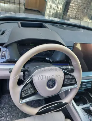 New BYD Tang DM-i 2024 Gray