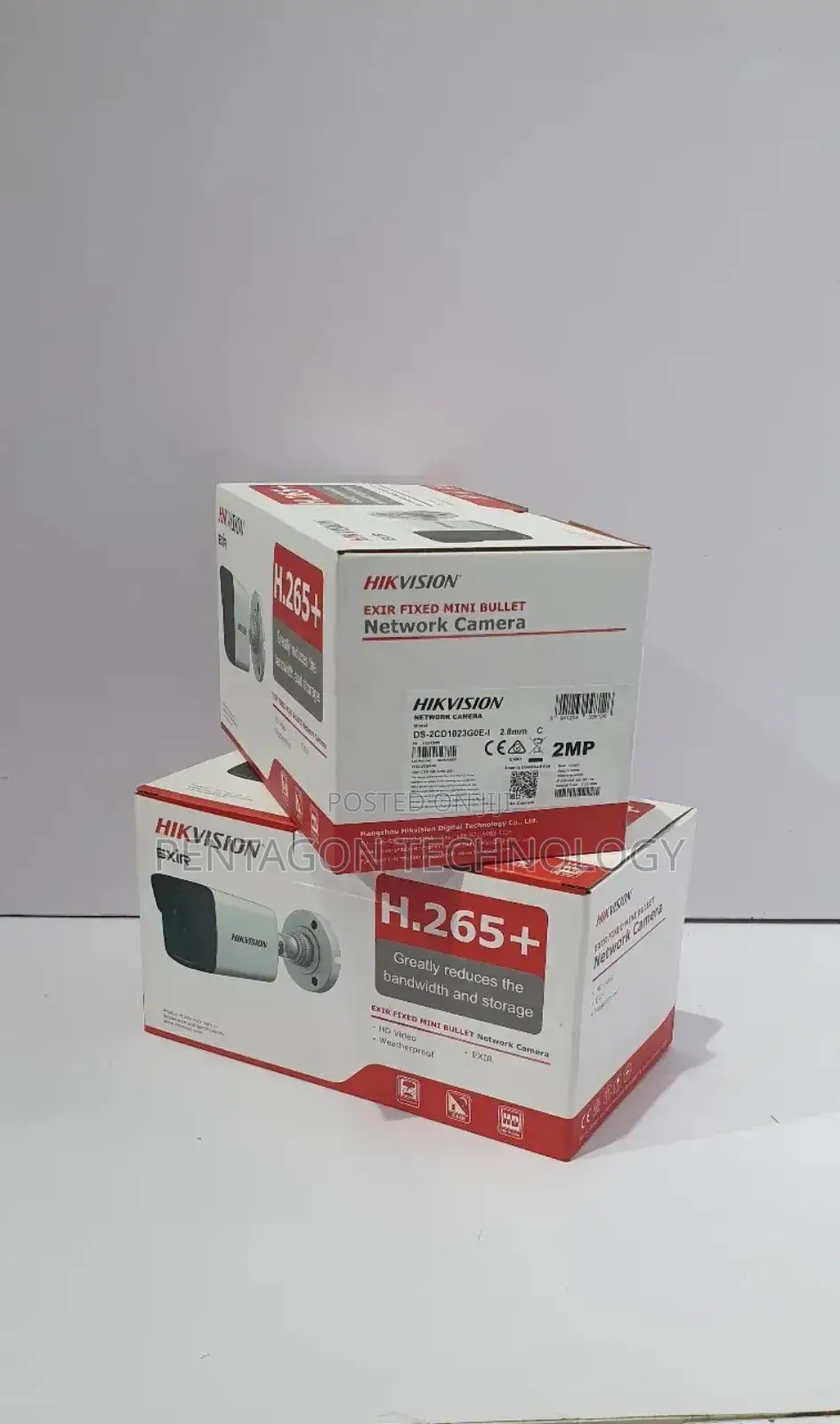 Hikvision Networking Security Ip Camera