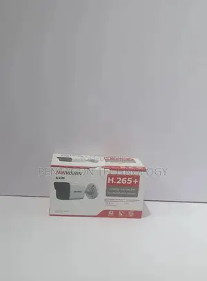 Hikvision Networking Security Ip Camera