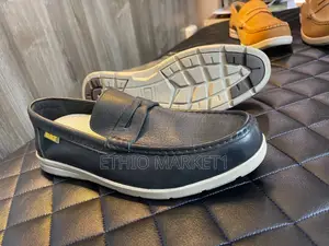 Cat Europe Standard High Quality Leather Shoes