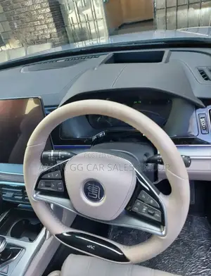 New BYD Tang DM-i 2024 Gray