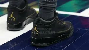 Air Jordan 3 Black History Shoes