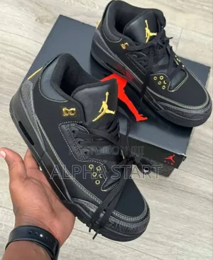 Air Jordan 3 Black History Shoes