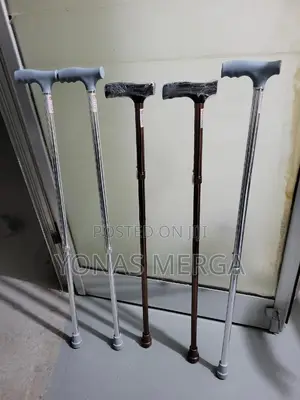 Photo - Walking Stick妻convalescence and Rehabilitation From Injury.