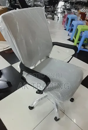 Office Secretary And Staff Chair