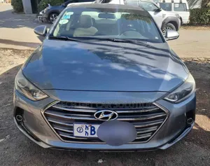 Hyundai Elantra 2017 Gray