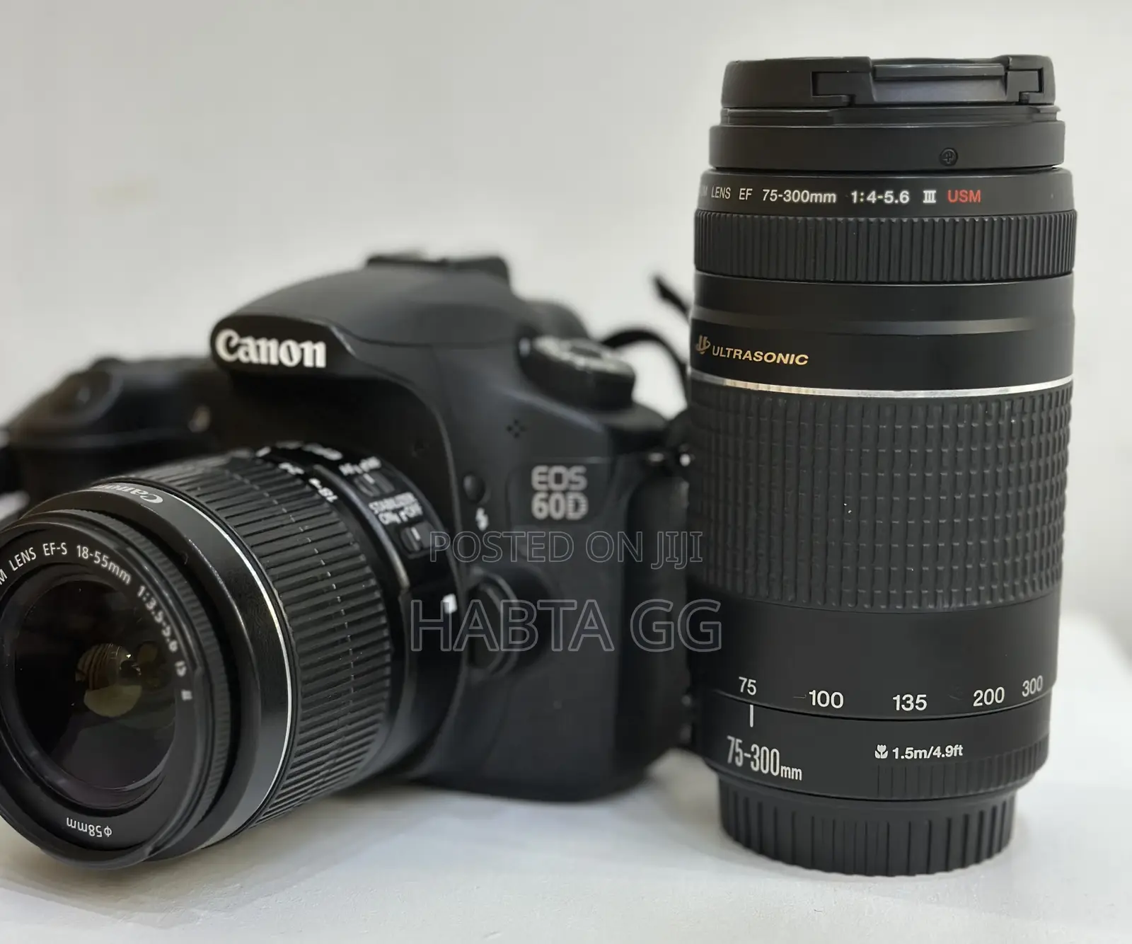 60d Canon + Canon18-55mm + Canon 75-300mm
