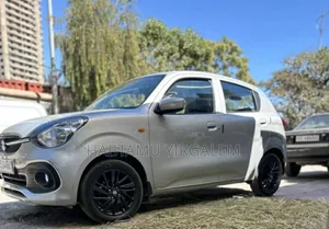 Suzuki Celerio 2019 Silver