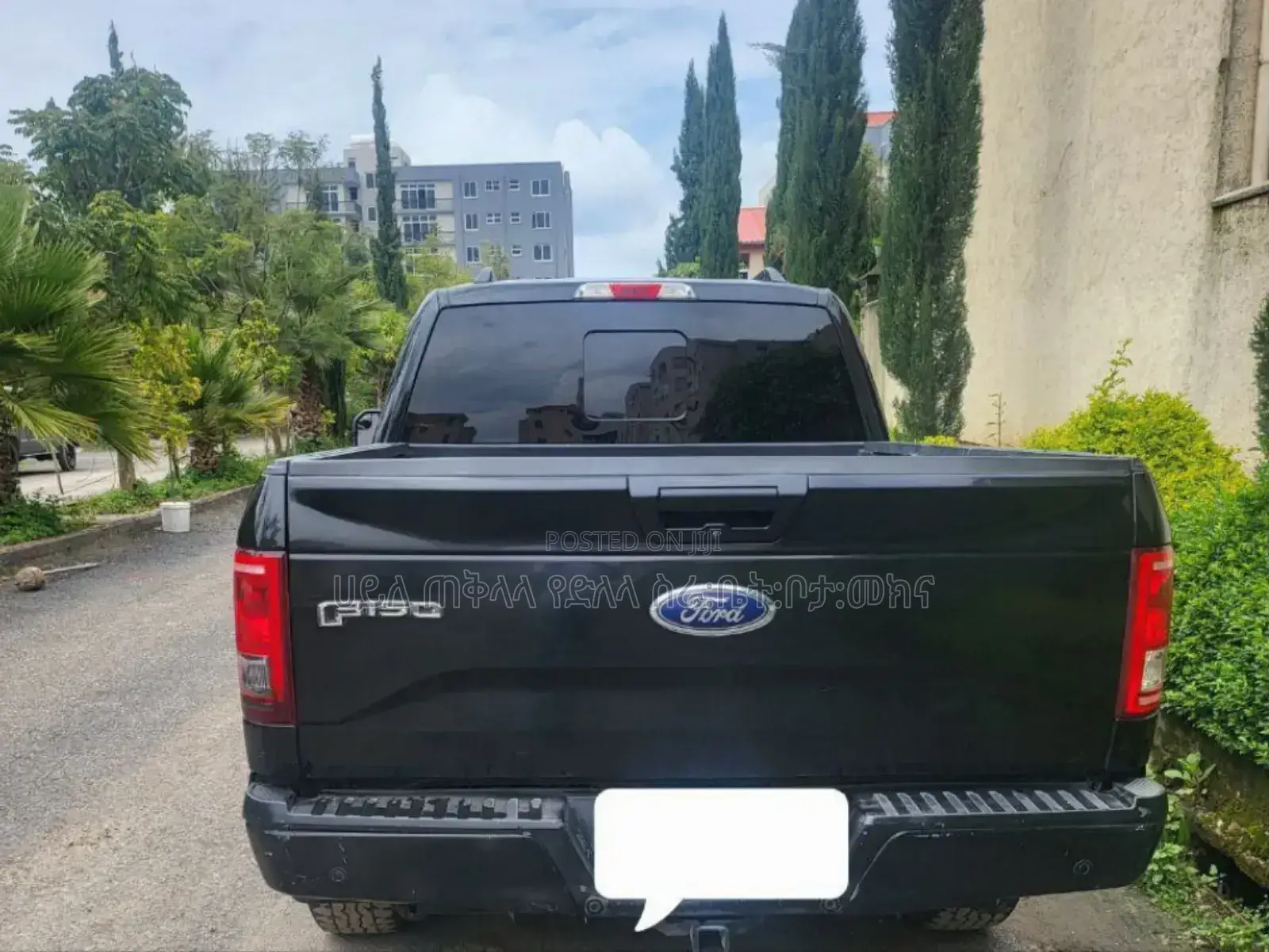 Ford F-150 2016 Gray