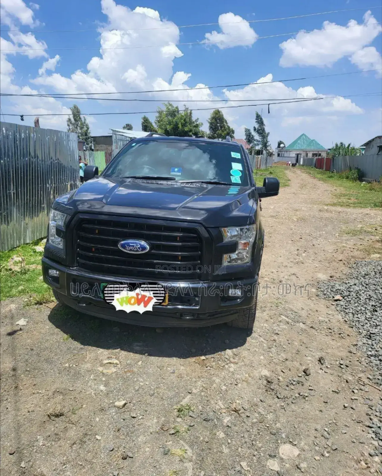 Ford F-150 2016 Gray