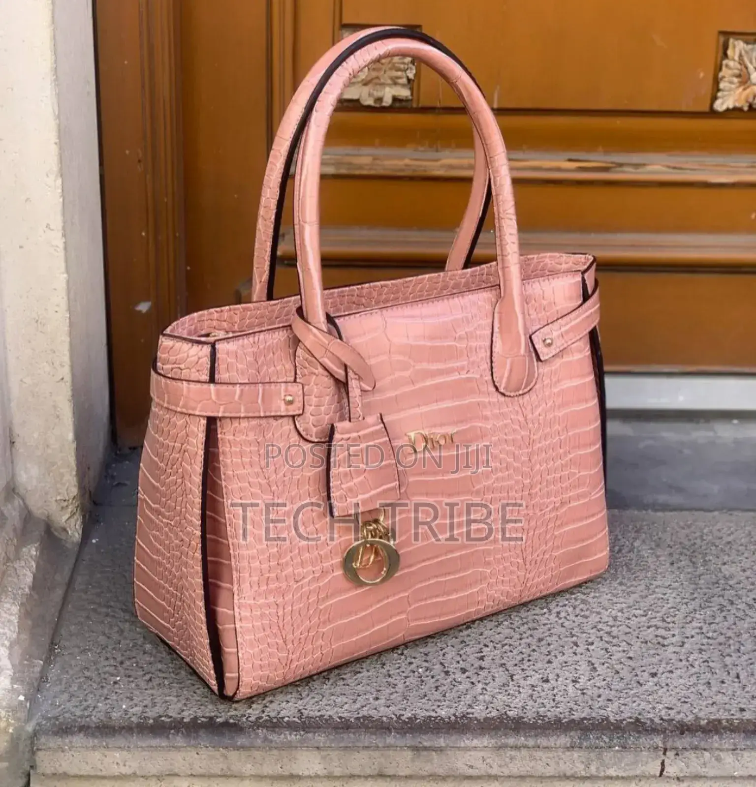 Dior Ladies Handbag With Free Delivery
