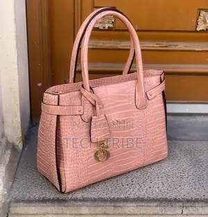 Dior Ladies Handbag With Free Delivery
