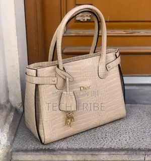 Dior Ladies Handbag With Free Delivery