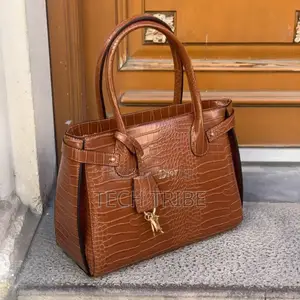 Dior Ladies Handbag With Free Delivery