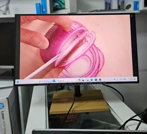 27 Inch Lenovo Thinkvision Frameless Monitor, Resolution