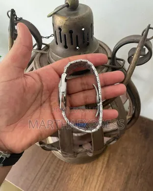 Poedagr Premium Watches PRX