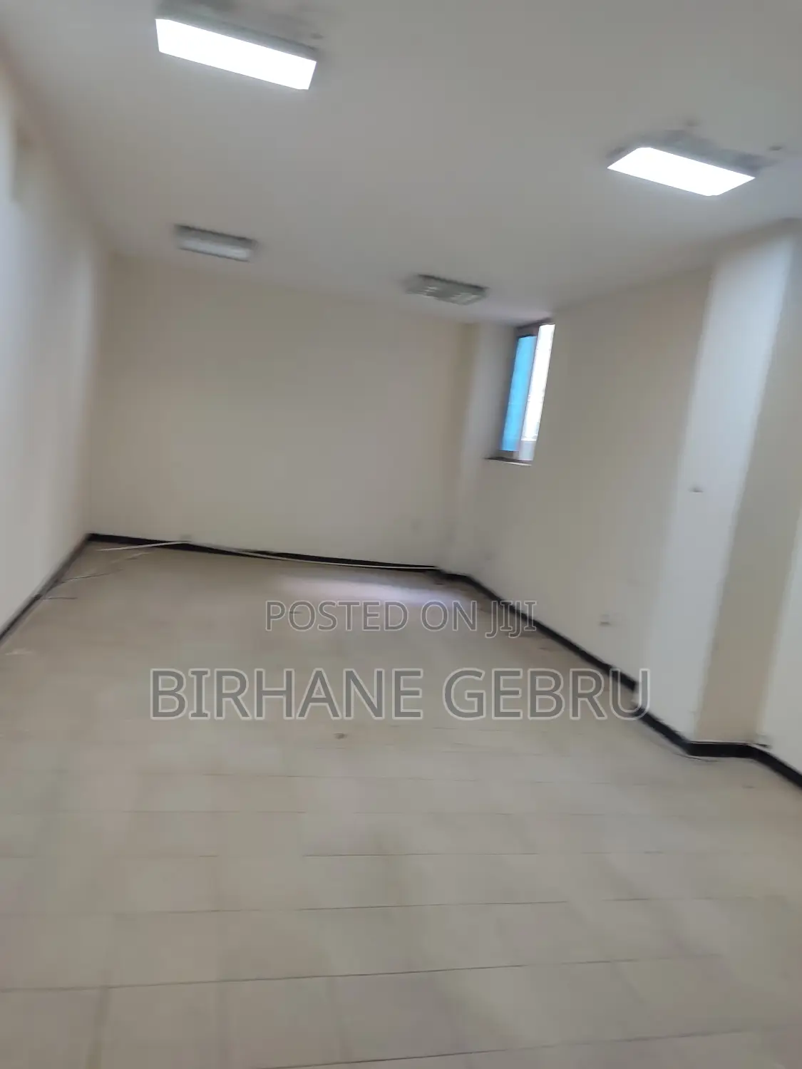 Luxury Aparatiment Rent for Office