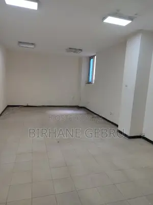 Luxury Aparatiment Rent for Office