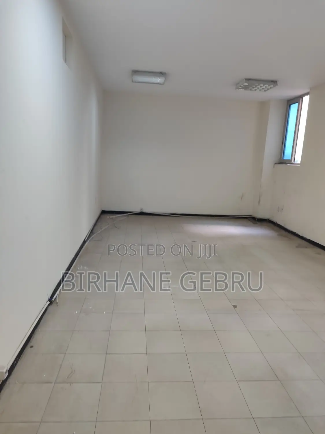 Luxury Aparatiment Rent for Office