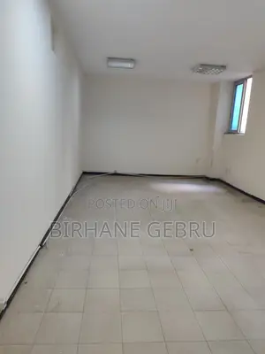 Luxury Aparatiment Rent for Office