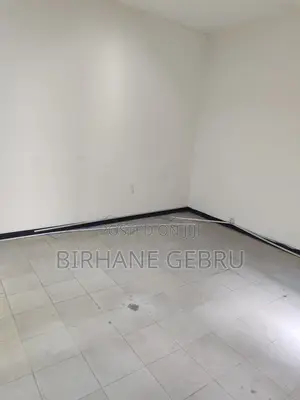 Luxury Aparatiment Rent for Office