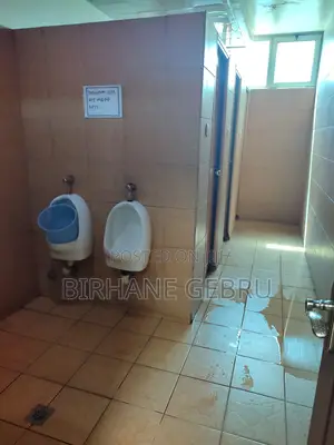 Luxury Apartiment Rent for Office