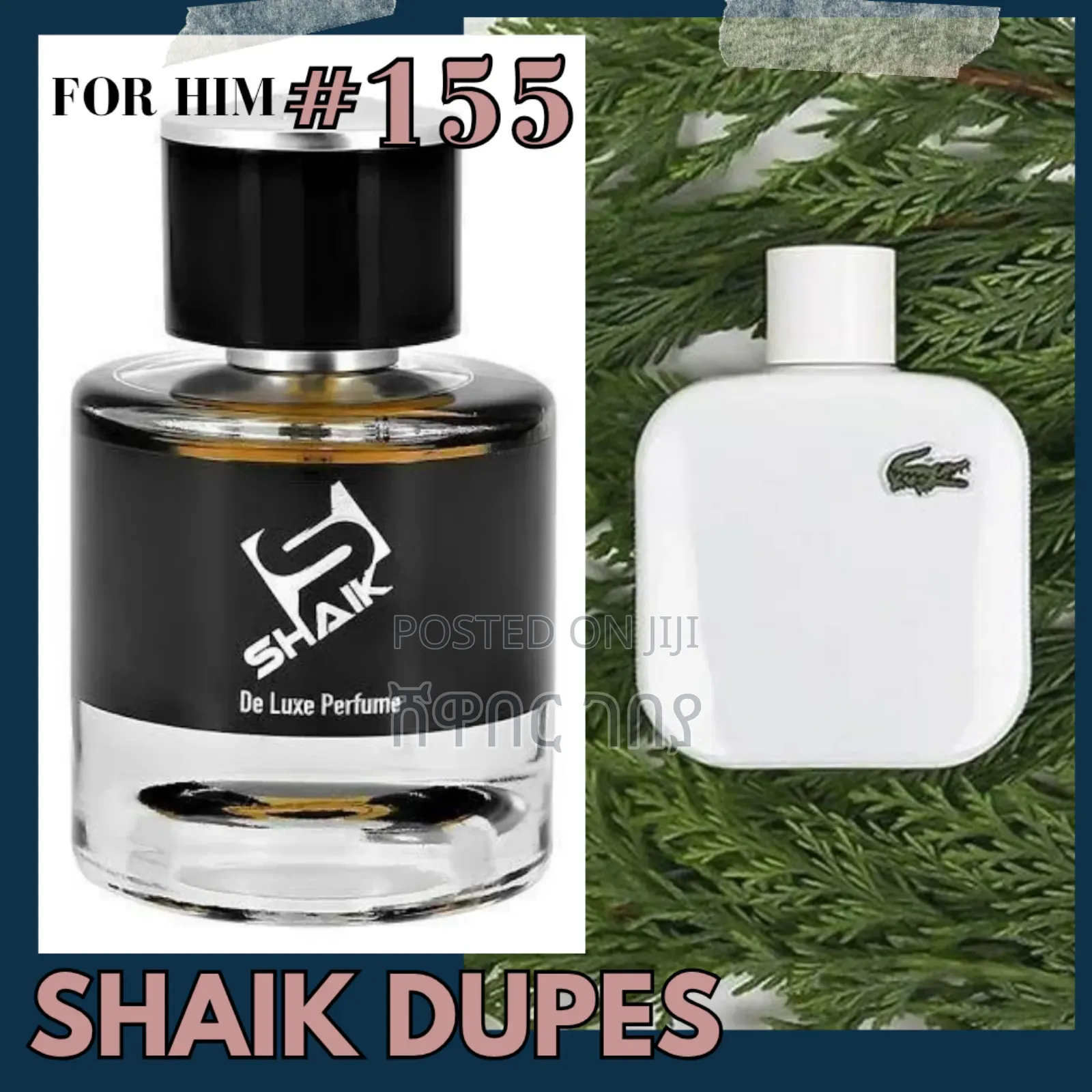 Shaik W155 Lacoste L12.12.