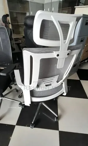 Office and Staff Chair