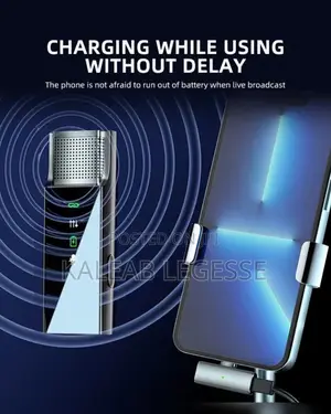 2in1 Digital Display Microphone