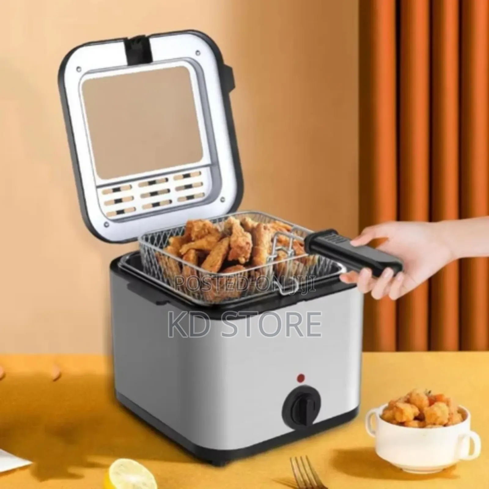 Electric Deep Fryer