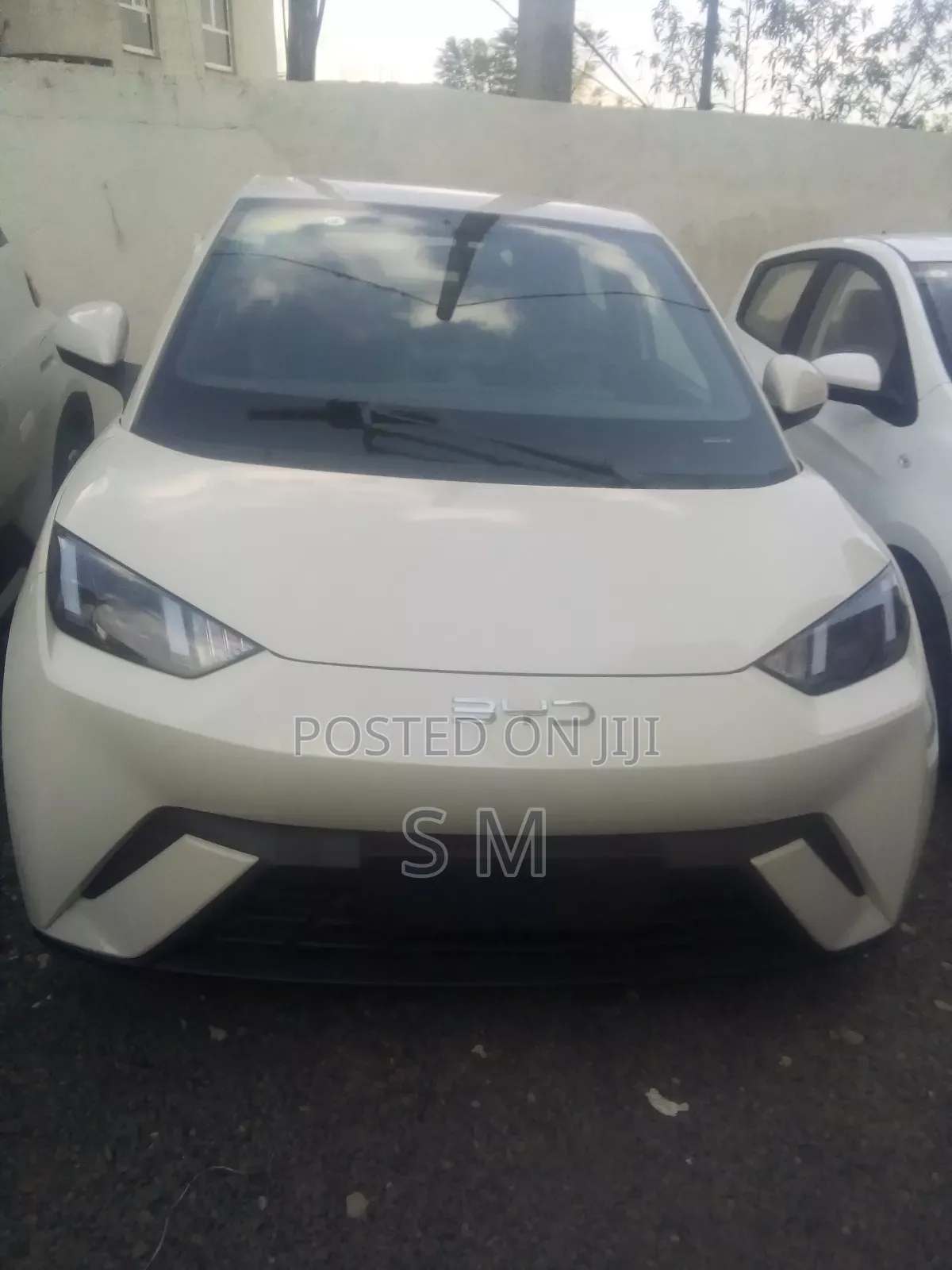 New BYD Seagull 2024 White