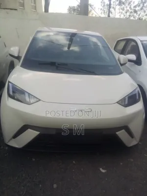 Photo - New BYD Seagull 2024 White