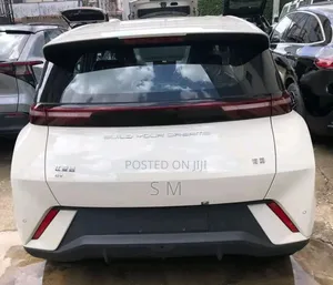 New BYD Seagull 2024 White