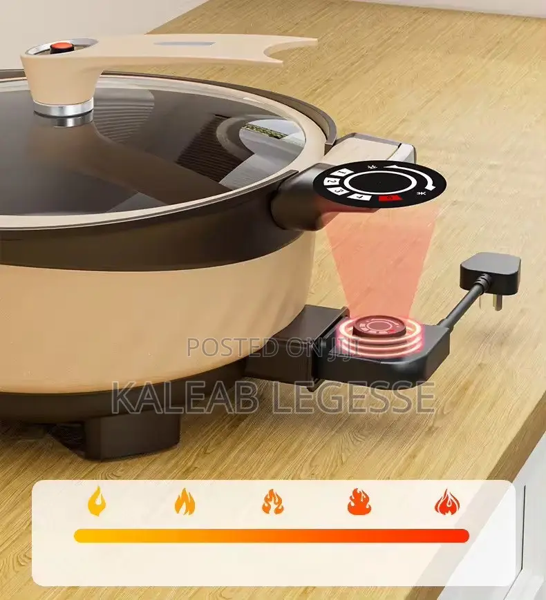  Electric Micro Pressure Cooker