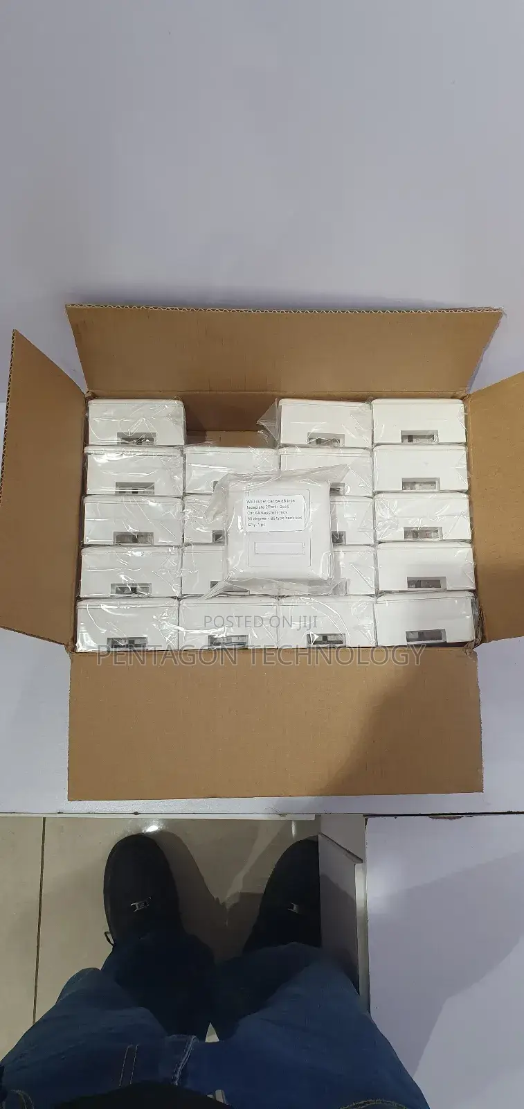 Double Data Outlet Cat6