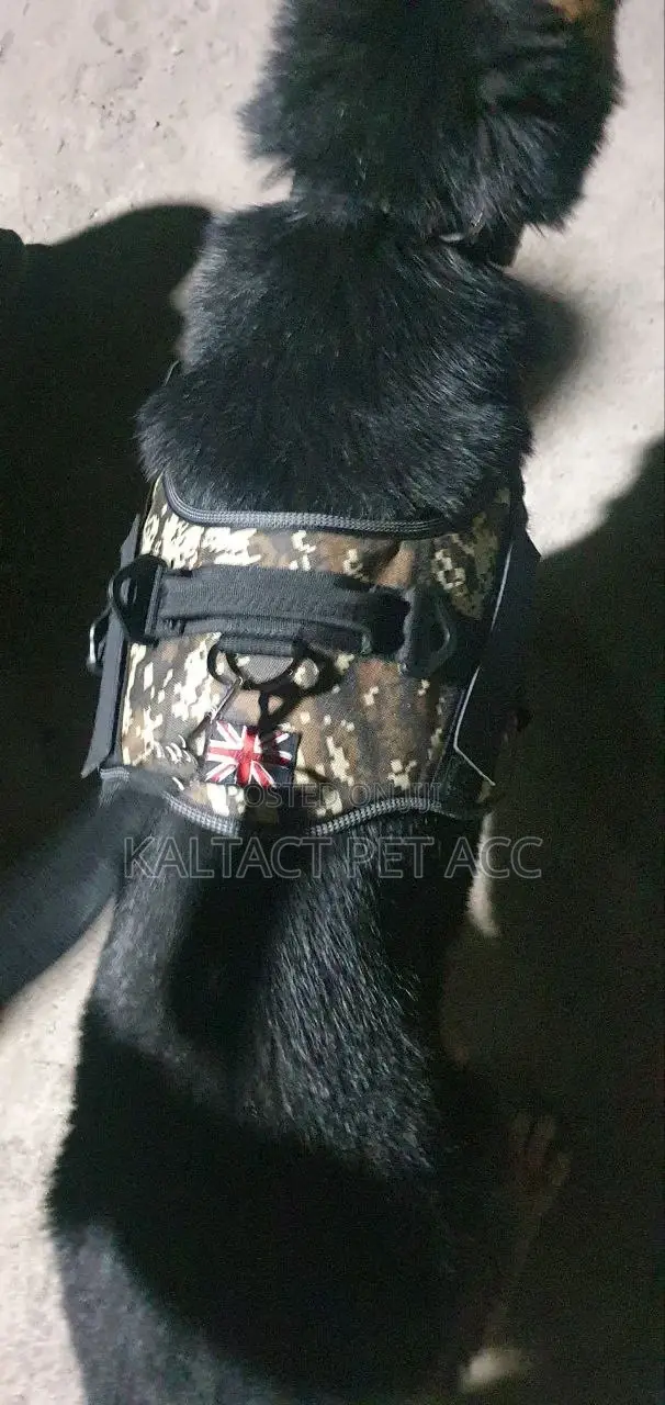Full Body Dog Harness With Free Delivery