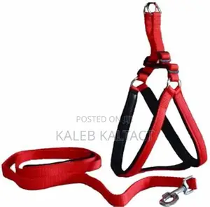 Dog Chest Strap